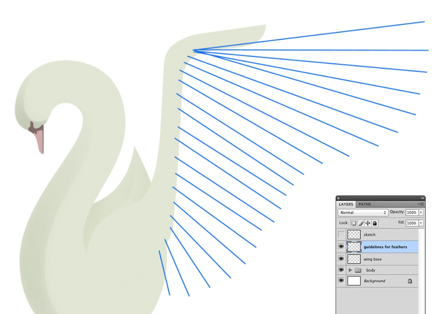 Анатомия крыла лебедя