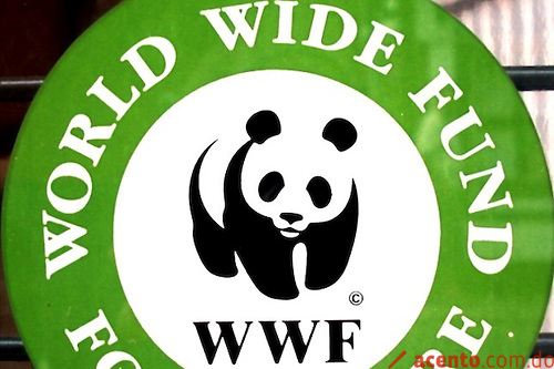 Propuesta de logo para la WWF reemplazaría al panda ... - Frogx Three