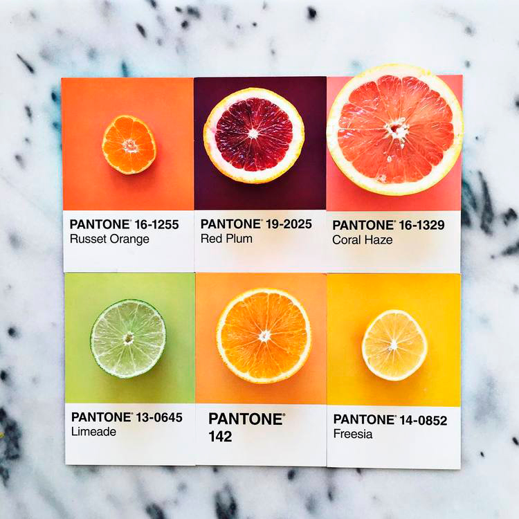 Pantone Food Pantone Pantone Shade Card Pantone Color Images And