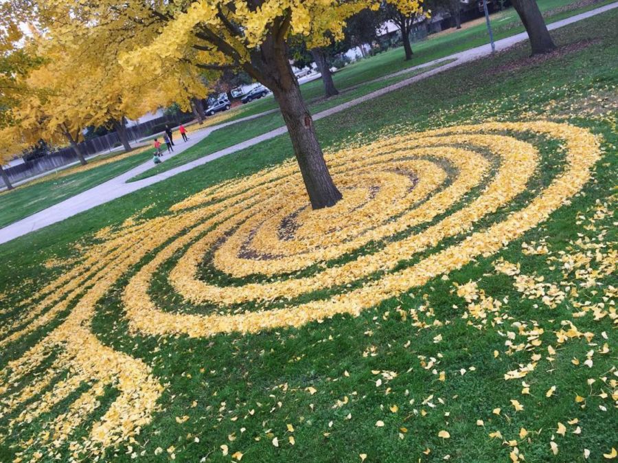 Land Art con hojas muertas por Joanna Hedrick - Frogx Three